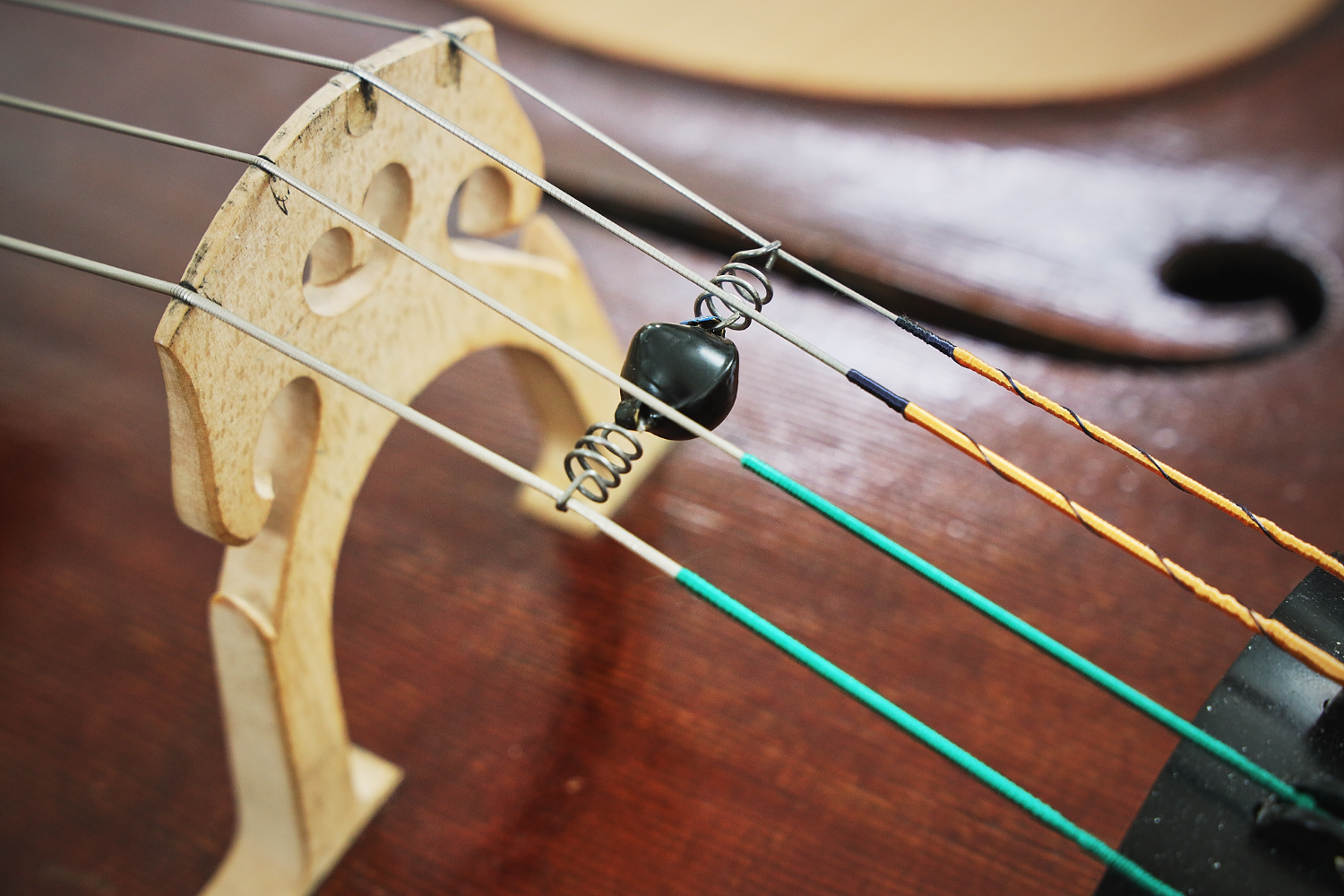 Metal Ball Wolf Eliminator in place on cello