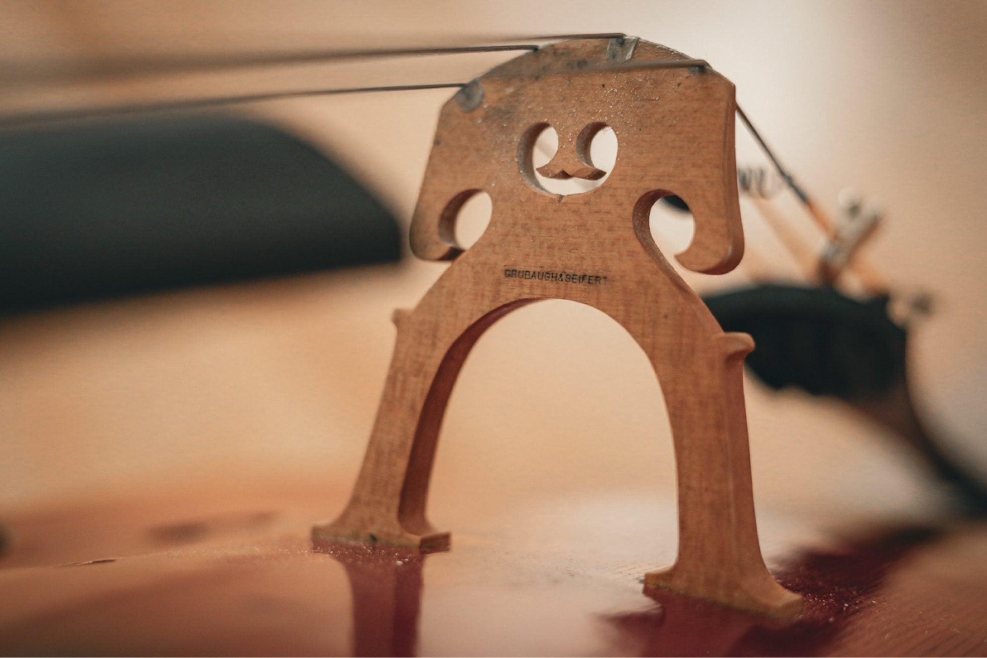Close-up of cello bridge with strings under tension