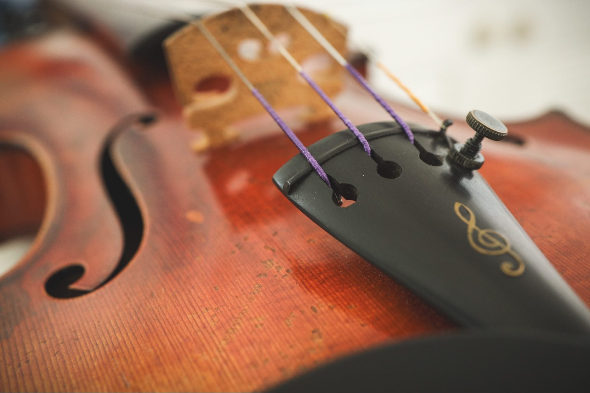 Close-up of cello tailpiece showing string silk windings