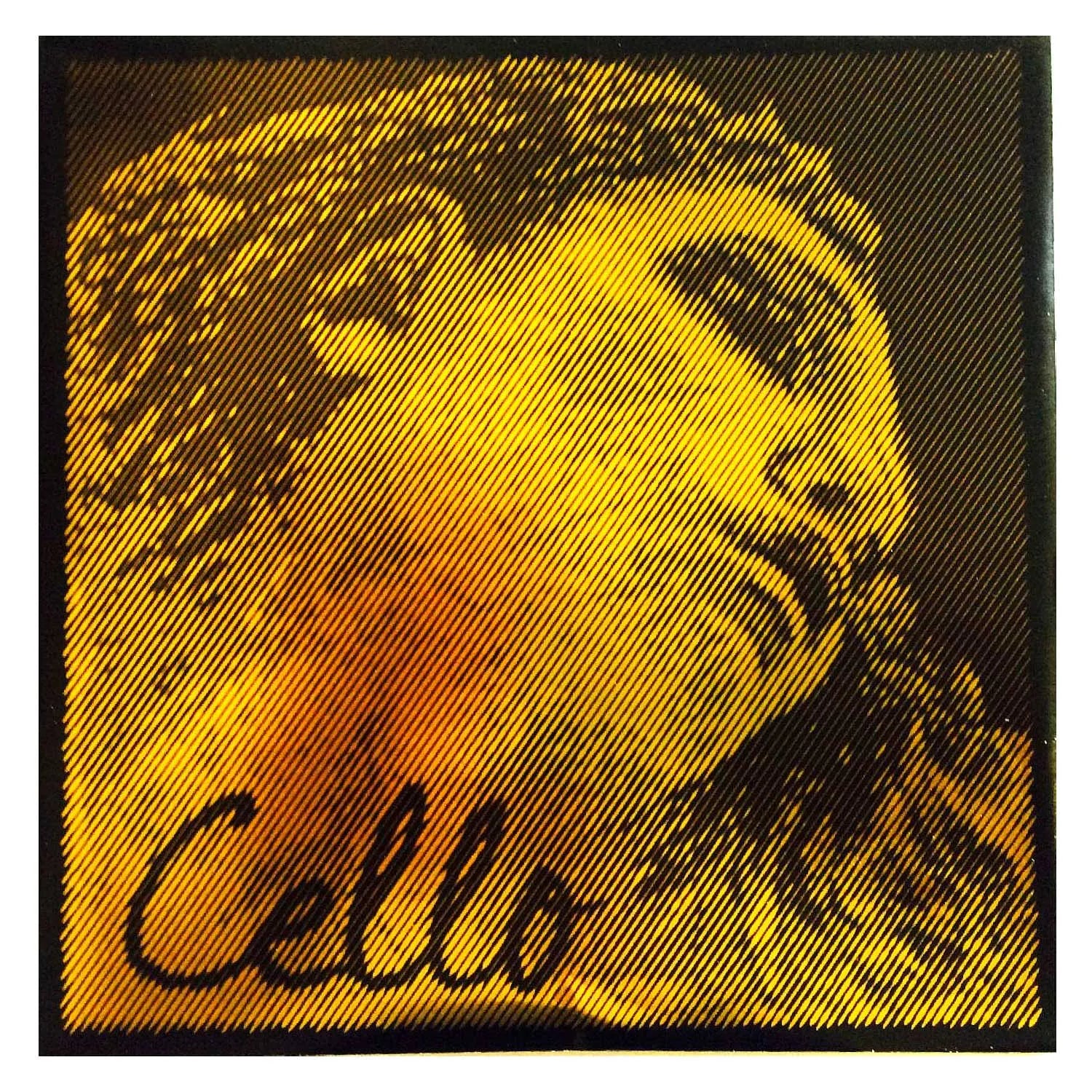 Evah_Pirazzi_Gold_Cello.webp